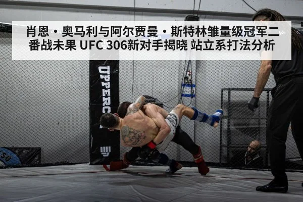 MMA fighter grappling