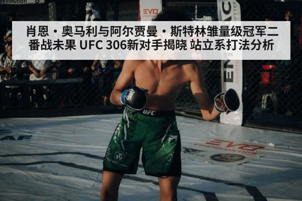 肖恩·奥马利与阿尔贾曼·斯特林雏量级冠军二番战未果 UFC 306新对手揭晓 站立系打法分析