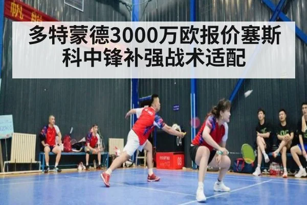 多特蒙德3000万欧报价塞斯科中锋补强战术适配